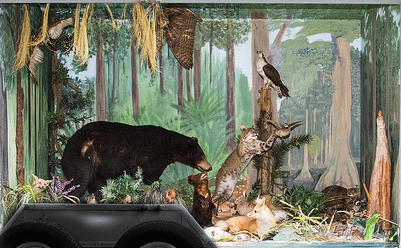 0003-1493-FWC-Display-Close-up