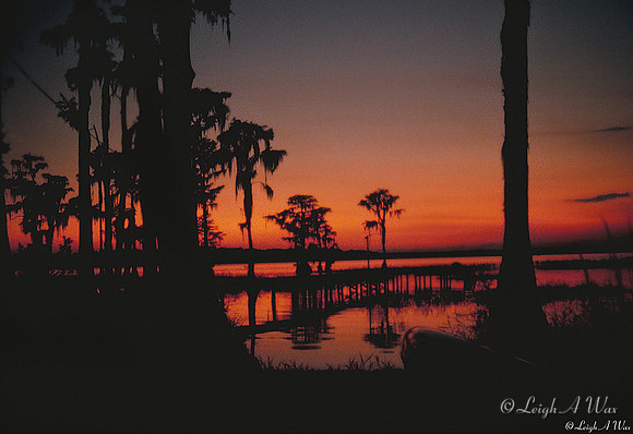 Sunset Lake Santa Fe Florida Wild Nature Landscape Leigh Wax