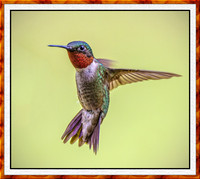1861-M-Hummer