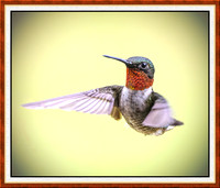 1858-M-HUMMER