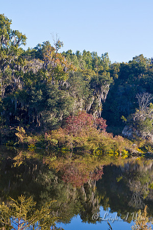 Autumn Morning  Lake La Chua Trail Paynes Prairie Florida Wild Nature Landscape Leigh Wax