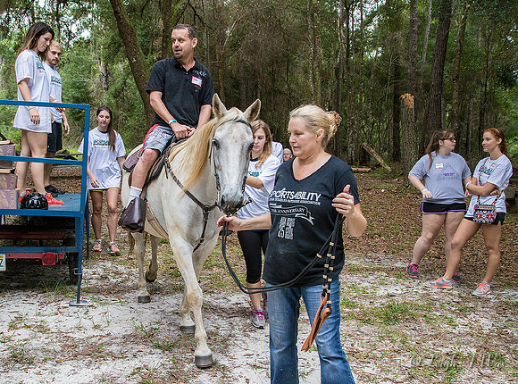 1037-1604-EQUINE