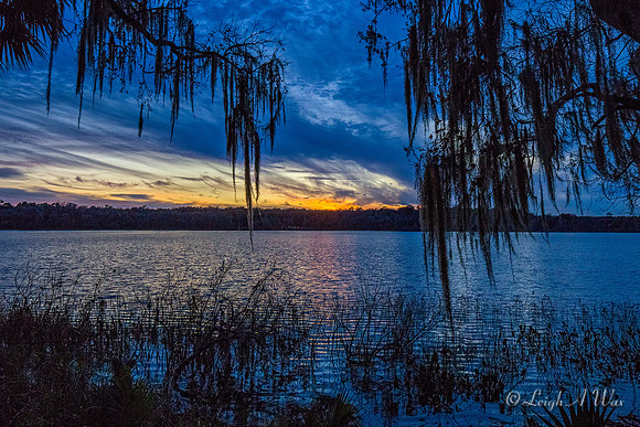 2404-Lake Walburg Sunset