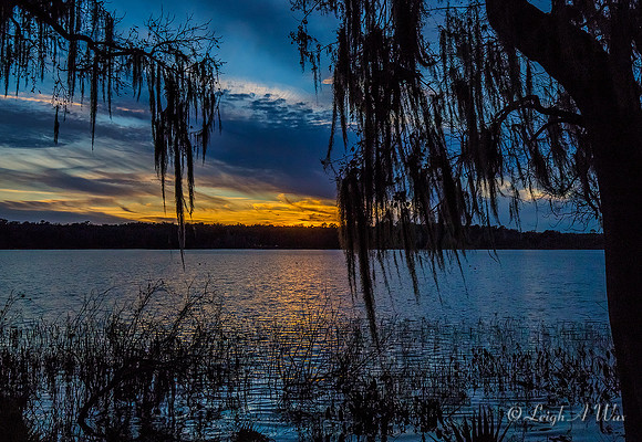2399-Lake Wauburg Sunset