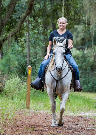 1036-2068-EQUINE