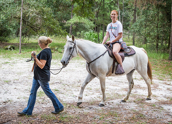 1041-1616-EQUINE