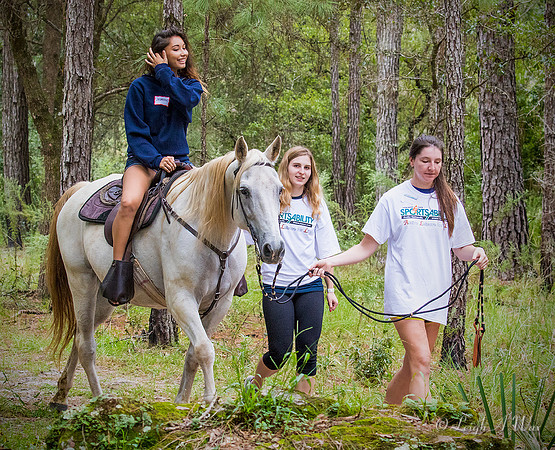 1038-2082-EQUINE